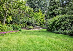Optimiser l'expérience du jardin à Rosnay